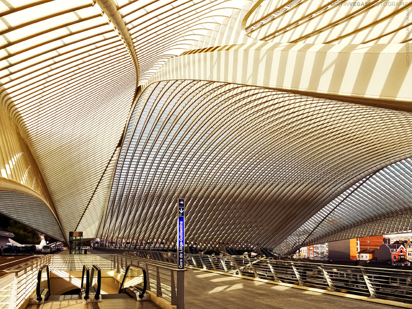 Gare de Liège-Guillemins, Liege, Belgique | Arch: Santiago Calatrava, 2006