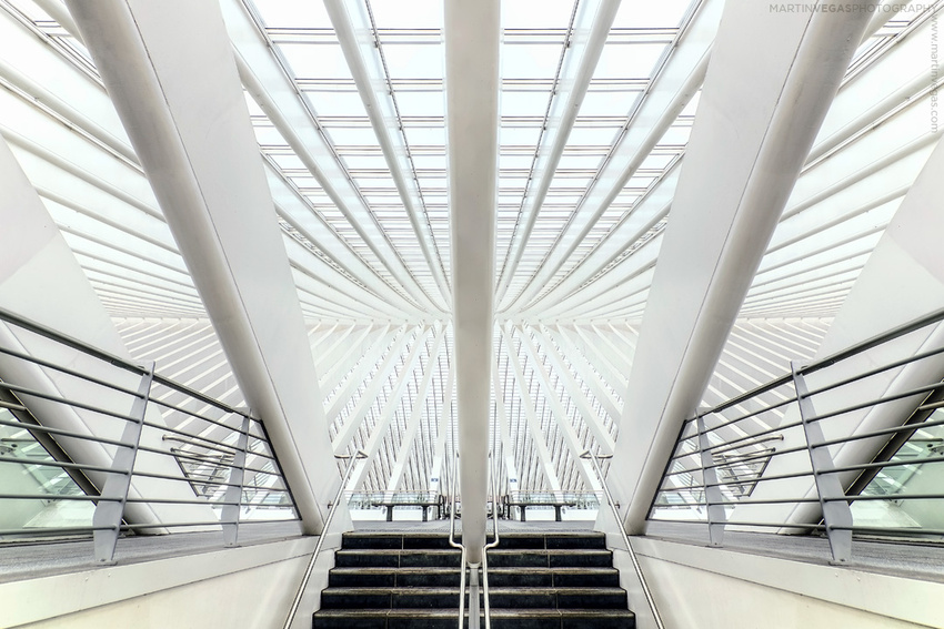 Gare de Liège-Guillemins, Liege | Arch: Santiago Calatrava, 2006